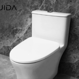TORNADO FLUSH TOILET - The Dhaka Sanatary